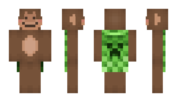 Minecraft скин по нику Heterogene