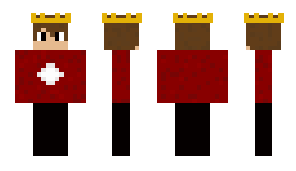 Minecraft skin Haoshoku