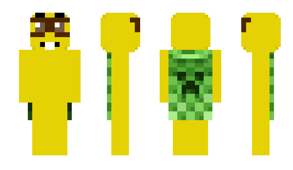 Minecraft skin ZIASBLOU