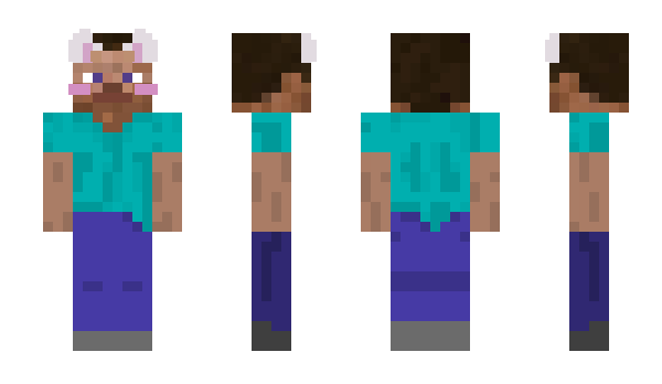 Minecraft skin steve539