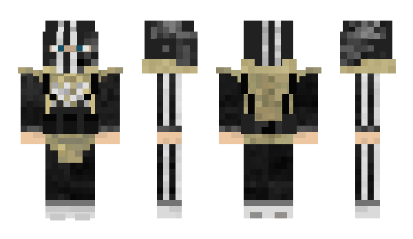 Minecraft skin CamAG