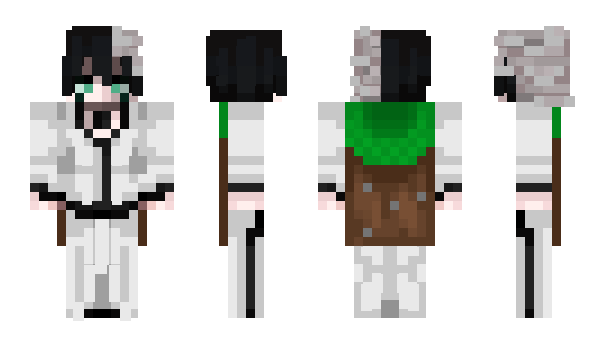 Minecraft skin pbrn31