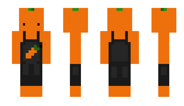 Minecraft skin CarrotFarmer