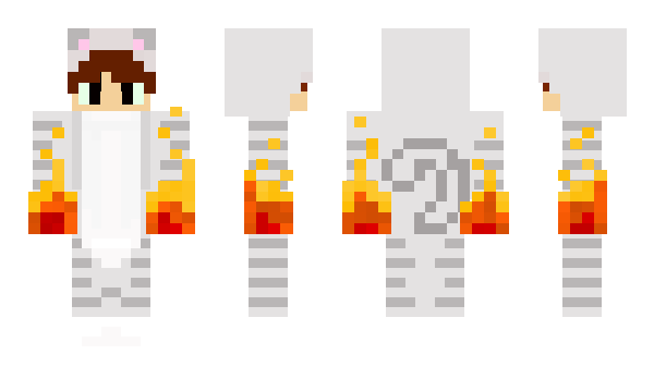 Minecraft skin Wideright1