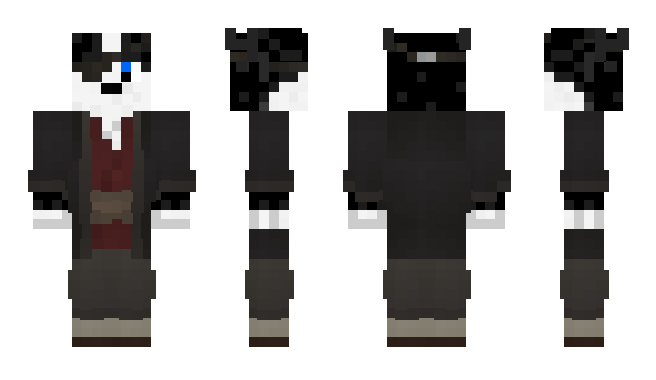 Minecraft skin Protesis