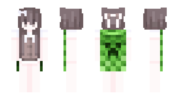 Minecraft skin HYR_1337