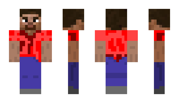 Minecraft skin linsen