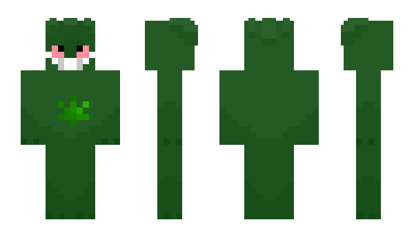 Minecraft skin THCcartfein