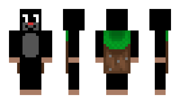 Minecraft skin searchIP