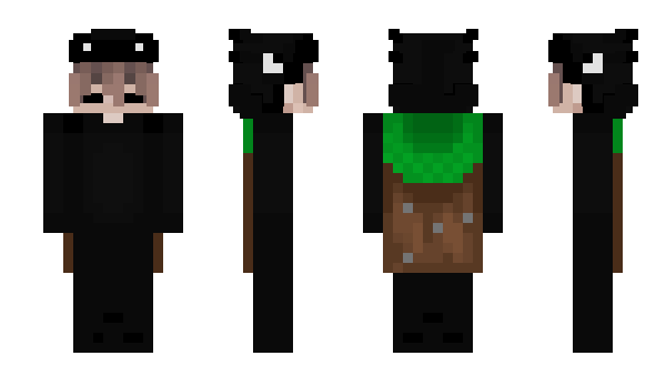 Minecraft скин по нику Sylvien_