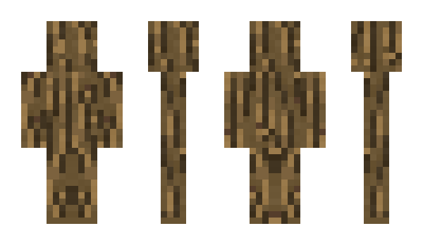 Minecraft скин по нику Zach_Tourist