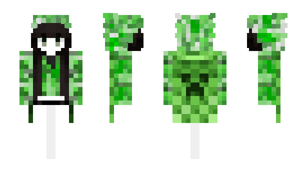 Minecraft skin 6c6
