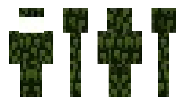 Minecraft skin 753159