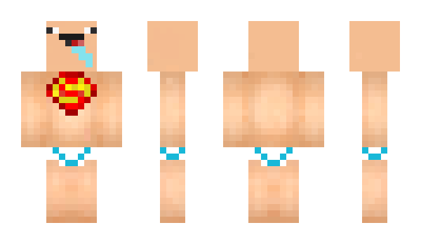 Minecraft skin PaMiCeKs