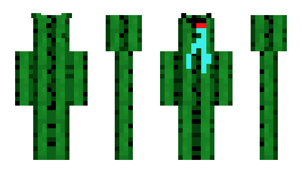 Minecraft скін по ніку Mejgu
