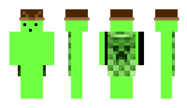 Minecraft skin IMLVR