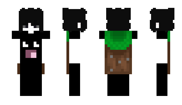 Minecraft скин по нику a_ryoo
