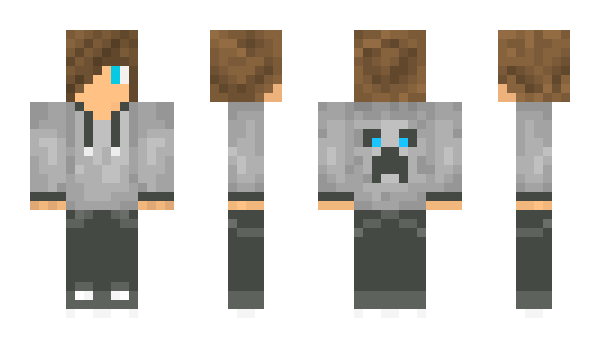 Minecraft skin 4312micky