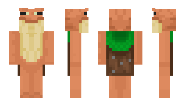 Minecraft skin Mr_Frogit