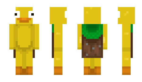 Minecraft skin Duxlo