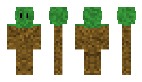 Minecraft skin generalshrub