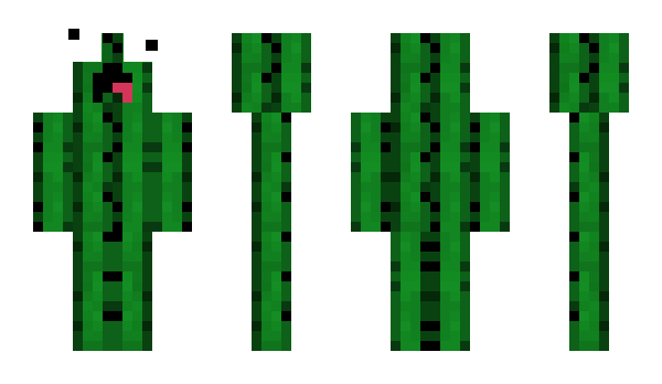 Minecraft skin Kaktusfarm