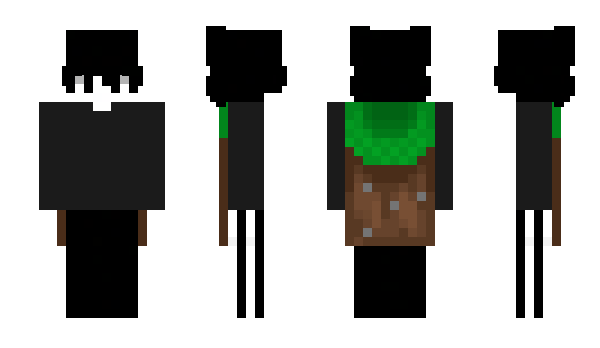 Minecraft skin TIK_m