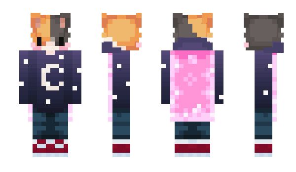 Minecraft skin ProJakob