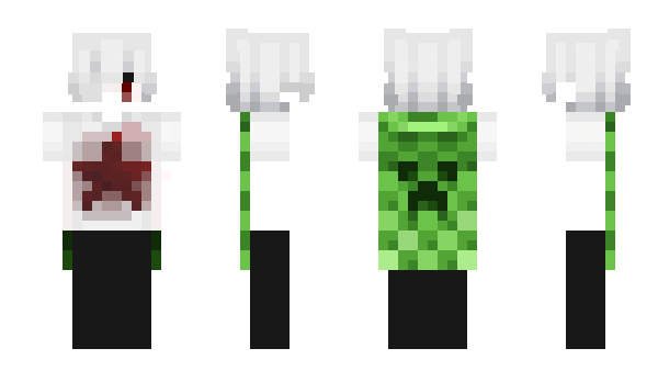 Minecraft skin Rokou