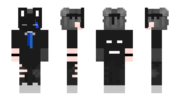 Minecraft skin Noridz