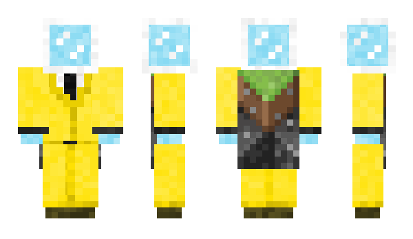 Minecraft skin _PDF_