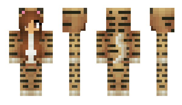Minecraft skin aurobj123