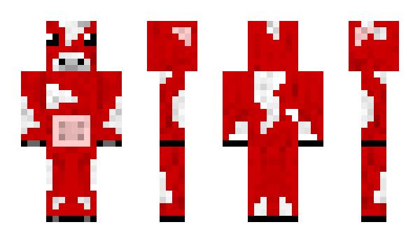 Minecraft skin EW4D