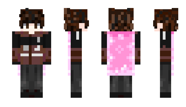 Minecraft skin VILINXI