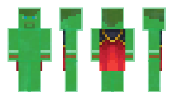 Minecraft skin the45
