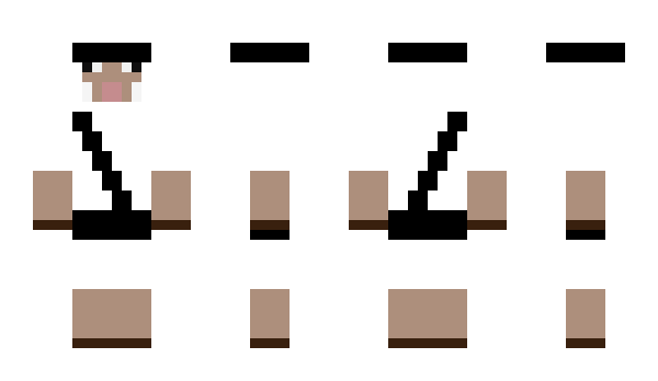 Minecraft skin Sheepski