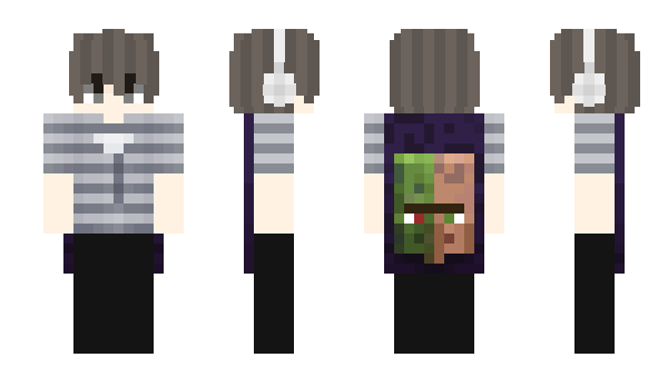 Minecraft skin disregular