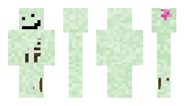 Minecraft skin sailormate