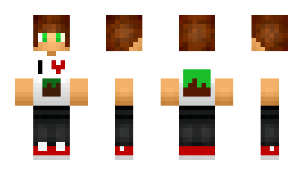 Minecraft skin Nova_28