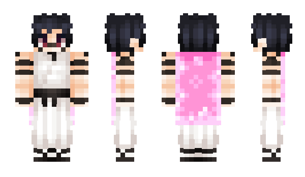 Minecraft skin WizardAnorad