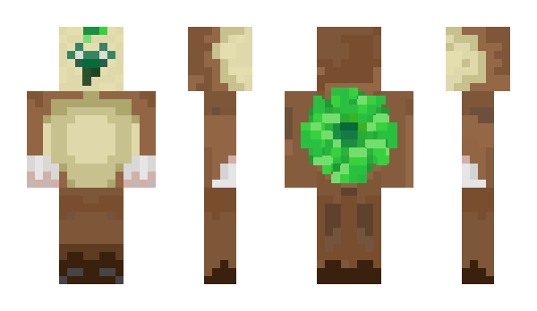 Minecraft skin Kikwi