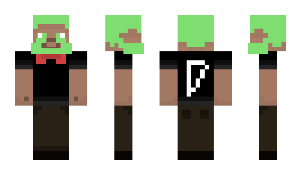 Minecraft skin Airwans