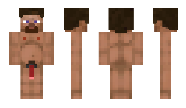 Minecraft skin BrouetteCubique