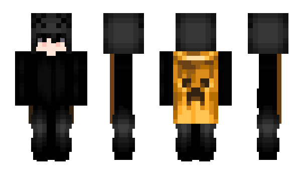 Minecraft skin paning