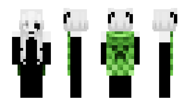 Minecraft skin 0xpwn