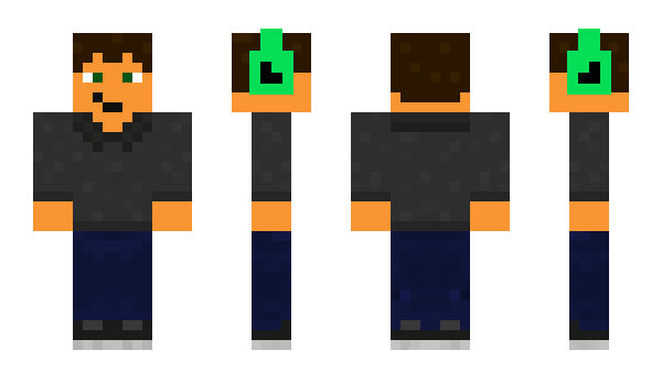 Minecraft skin Puma333