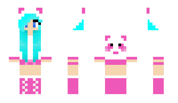 Minecraft skin Tokud