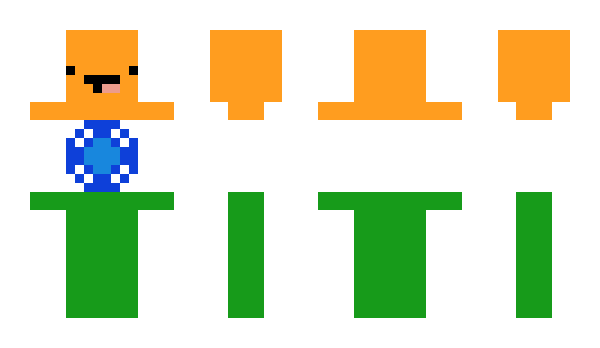 Minecraft skin Hindustan