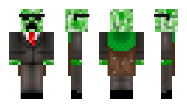 Minecraft skin PET3H