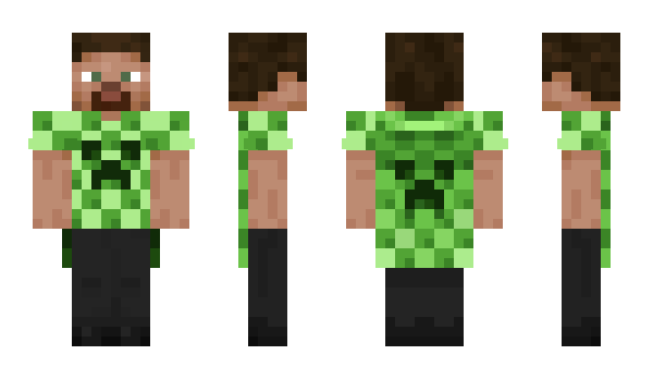 Minecraft skin Carsom